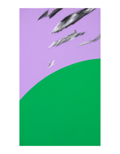 Senza titolo, tecnica mista su tela, 50x30cm, 2022 - Iacopo Pesenti