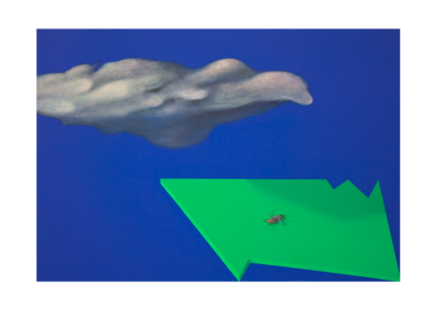 Visitazione, tecnica mista su tela, 70x100cm, 2019 - Iacopo Pesenti