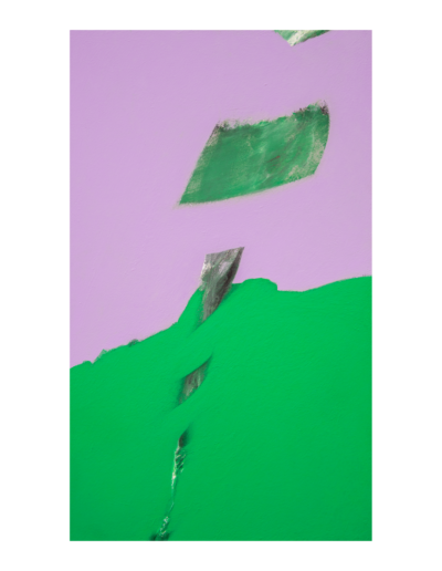 Senza titolo, tecnica mista su tela, 50x30cm, 2022 - Iacopo Pesenti